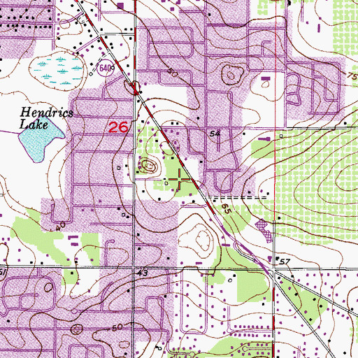 Topographic Map of Lithia-Oakwood Business Center, FL
