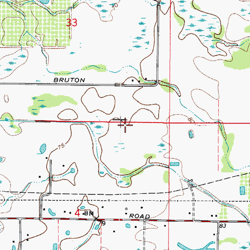 Topographic Map of Moffitt Plantation, FL