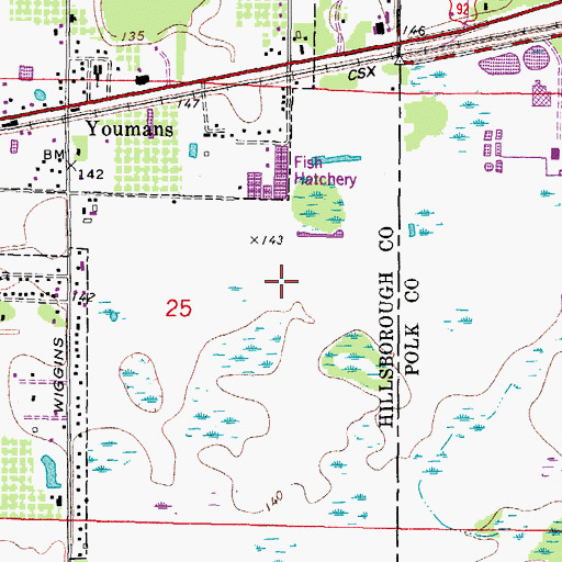 Topographic Map of Plant City Commerce Center Phase 2, FL