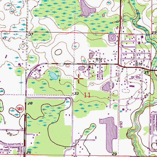 Topographic Map of The Plaza at Citrus Park, FL