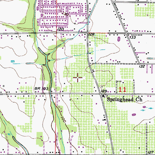 Topographic Map of Tomberlin Groves, FL