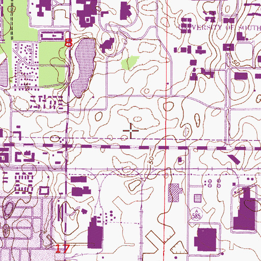 Topographic Map of University of South Florida Research Park, FL