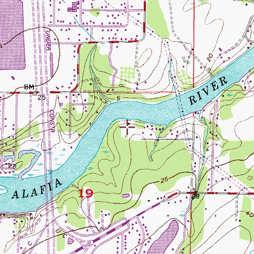 Topographic Map of Alafia River Country Meadows, FL