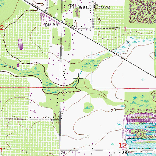 Topographic Map of Allens Cove, FL