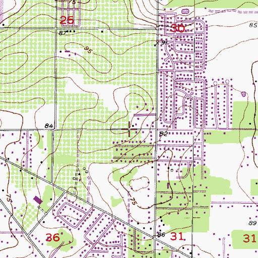 Topographic Map of Anselmi Acres, FL