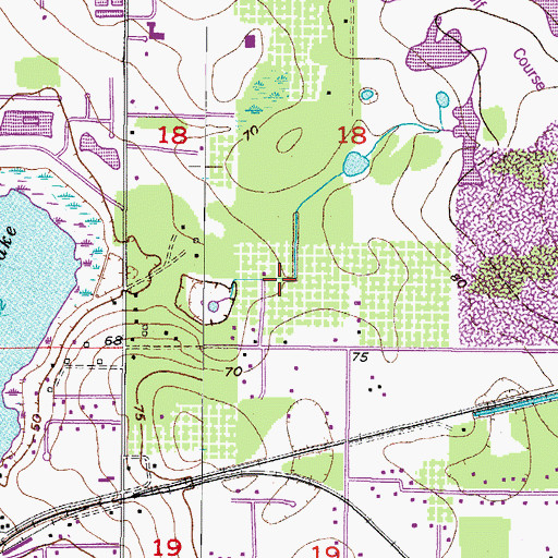 Topographic Map of Arista, FL