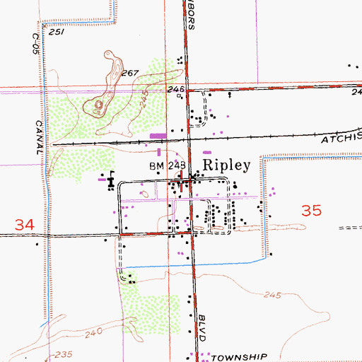 Topographic Map of Ripley, CA