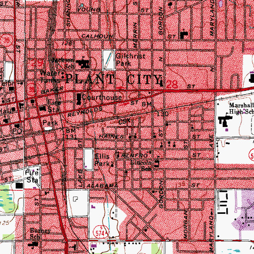 Topographic Map of Daily, FL