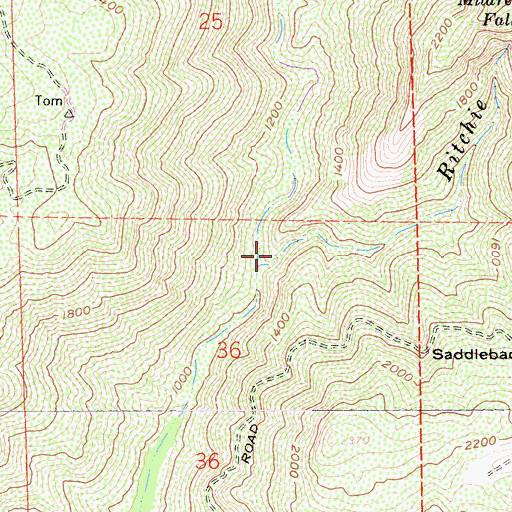Topographic Map of Ritchie Creek, CA