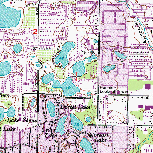 Topographic Map of Daneli, FL