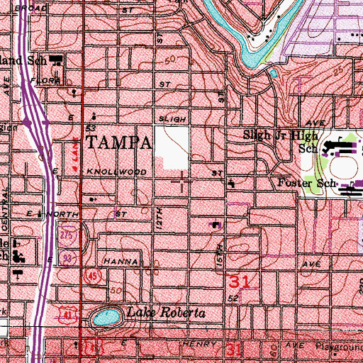 Topographic Map of Delmar Terrace, FL