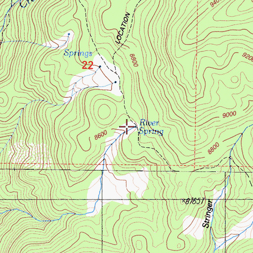 Topographic Map of River Spring, CA