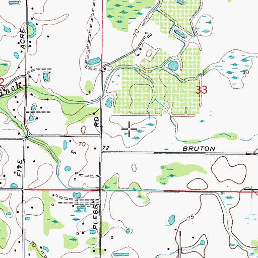 Topographic Map of Dormany Country Estates, FL