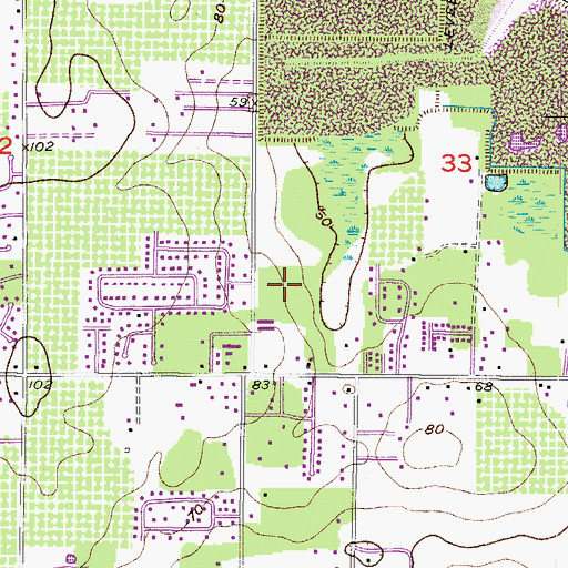 Topographic Map of Dover Oaks, FL