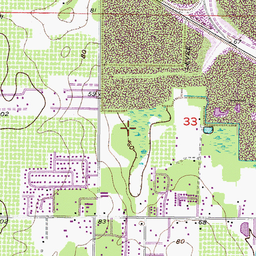 Topographic Map of Dover Woods, FL
