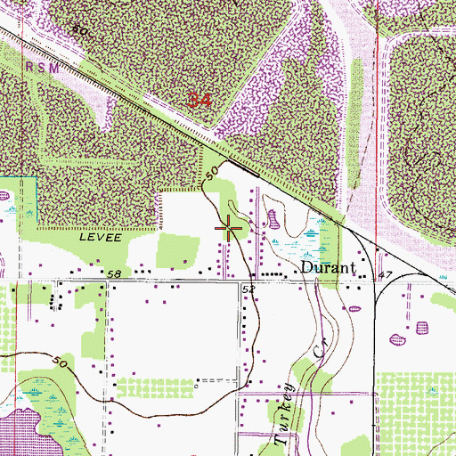 Topographic Map of Durant Trails, FL