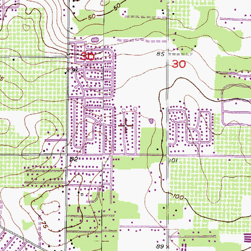 Topographic Map of East Brandon Heights, FL