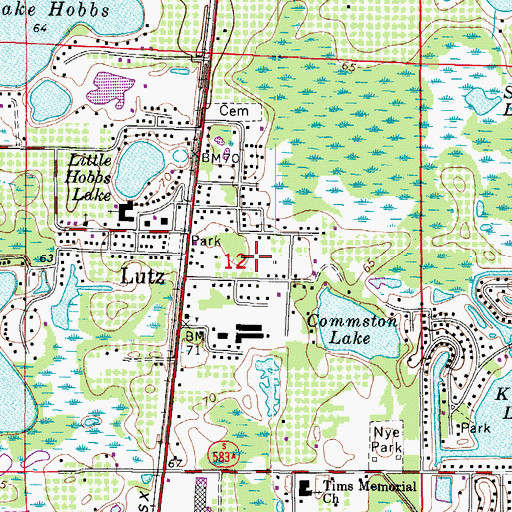 Topographic Map of East North Tampa, FL