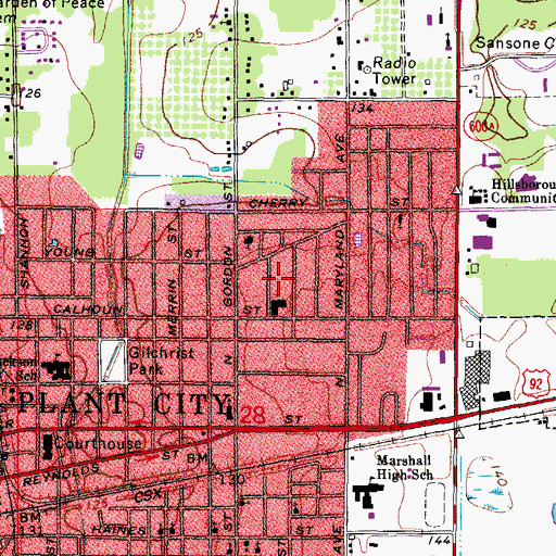 Topographic Map of East Side, FL