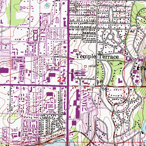 Topographic Map of Eckerds, FL