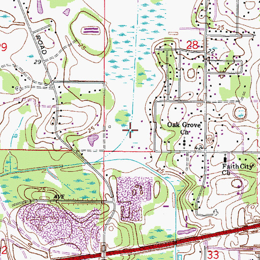 Topographic Map of Efird Farms, FL