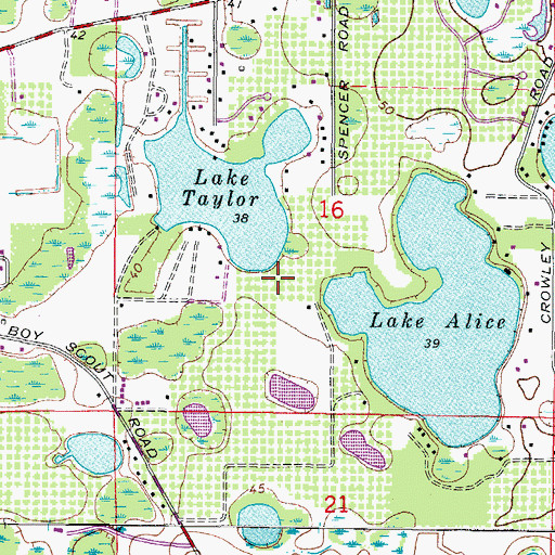 Topographic Map of Estates of Lake Alice, FL