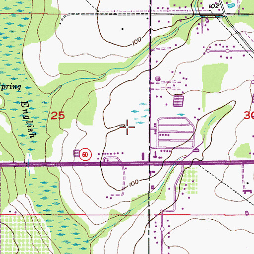 Topographic Map of Fasson South, FL