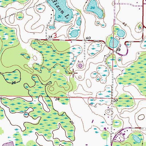 Topographic Map of Fawn Lake, FL