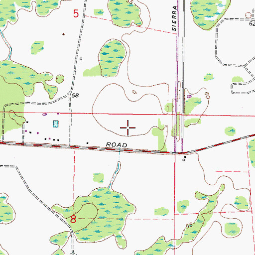 Topographic Map of Fern Glen, FL