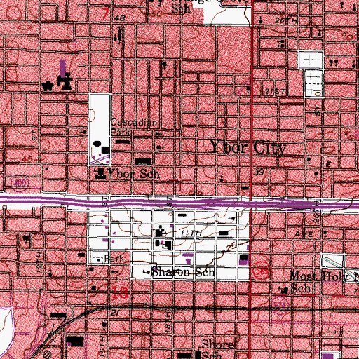 Topographic Map of Fiorito, FL