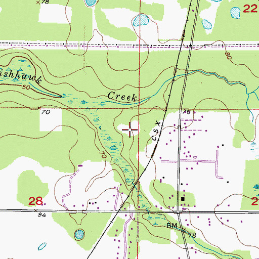 Topographic Map of Fish Hawk Farms, FL