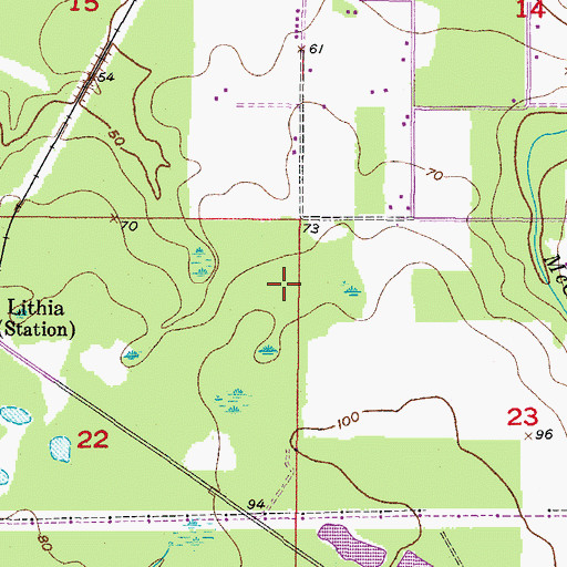 Topographic Map of Fish Hawk Trails, FL