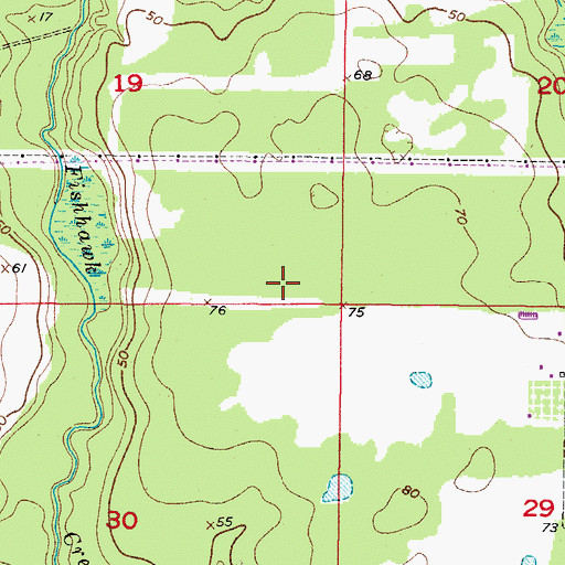 Topographic Map of Fishhawk Ranch, FL