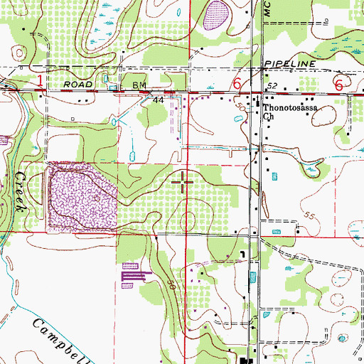 Topographic Map of Flint Lake, FL