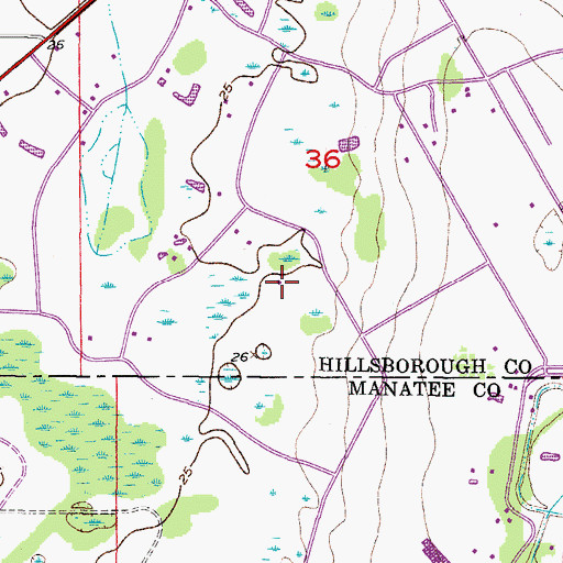 Topographic Map of Flores, FL