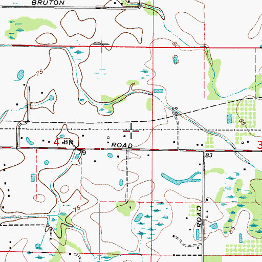 Topographic Map of Flowers, FL