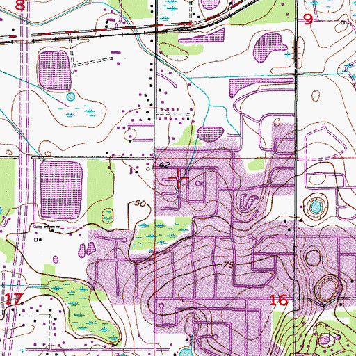 Topographic Map of Brandon Country Estates, FL