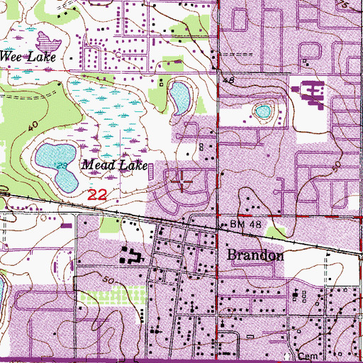 Topographic Map of Brandon Estates, FL