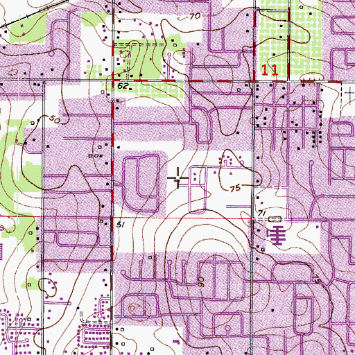 Topographic Map of Brandon Forest Reserve, FL