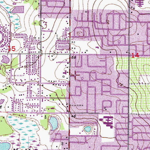 Topographic Map of Brandon Grove Estates, FL