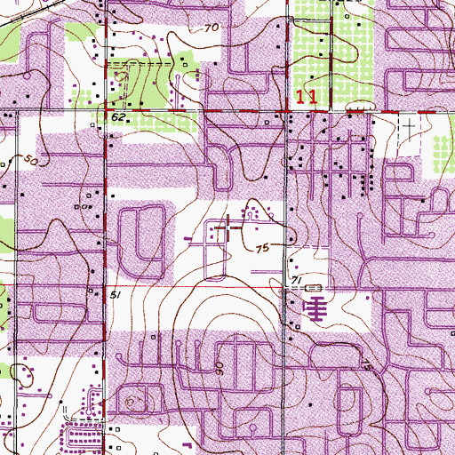 Topographic Map of Brandon Groves North, FL