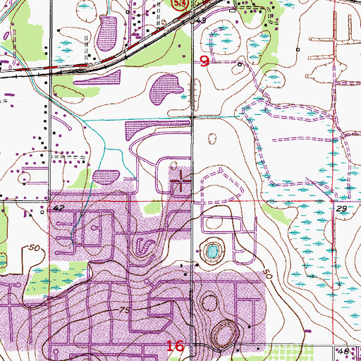 Topographic Map of Brandon Lakewood Estates, FL