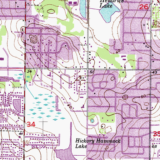 Topographic Map of Brandon Meadows, FL