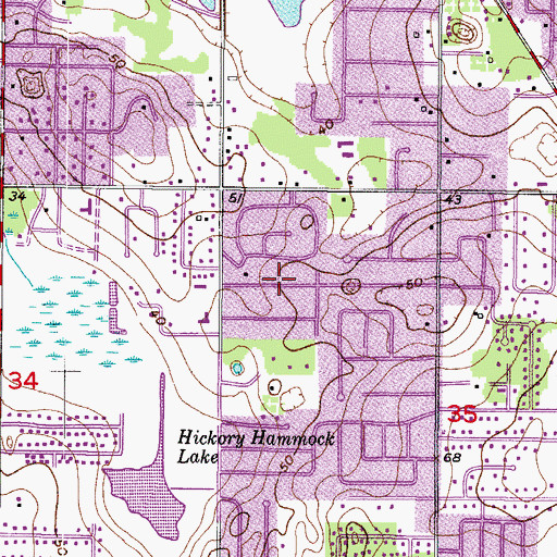 Topographic Map of Brandon Oaks, FL
