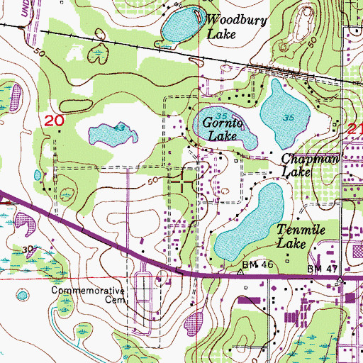 Topographic Map of Brandon Ridge, FL