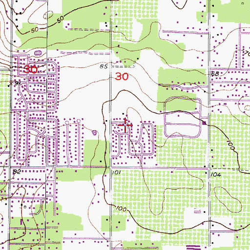 Topographic Map of Brandon Ridgeland, FL
