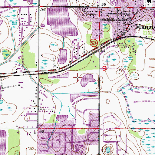 Topographic Map of Brandon Traces, FL