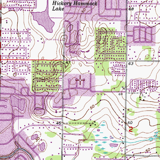 Topographic Map of Brandon View Estates, FL