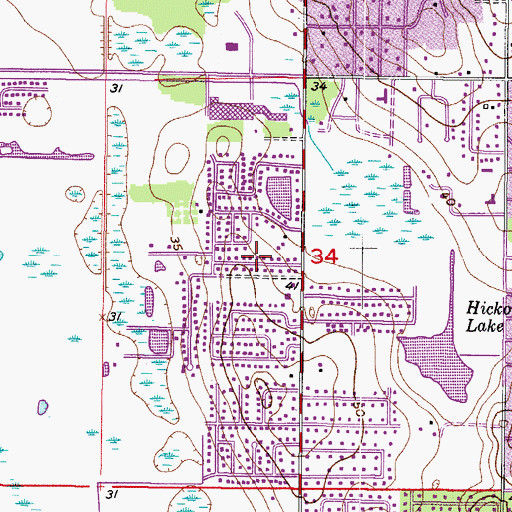 Topographic Map of Brandon Village, FL