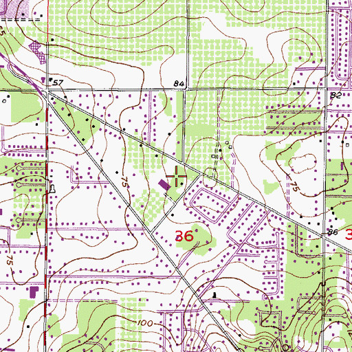 Topographic Map of Brandon Woodlands, FL